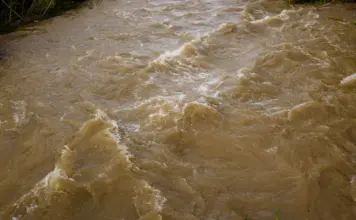 Requena afronta el impacto de la lluvia y el río Magro image