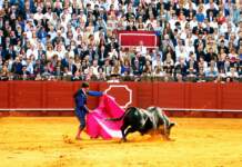 Alejandro Talavante corta dos orejas y sale herido Alejandro Talavante corta dos orejas y sale herido image