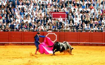 Alejandro Talavante corta dos orejas y sale herido image