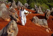 christina koch y su mensaje para cuidar la Tierra image