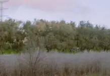 El Rubius reacciona a la muerte de Komanche y conmueve image