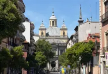 Francisco Martín dimite tras quedar fuera del 29N image
