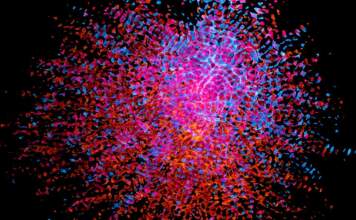 Karl Deisseroth y el Nobel que ilumina el cerebro image