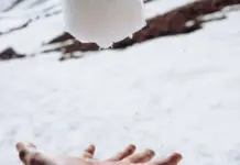 la bola negra final explicado qué significa la nieve la bola negra final explicado qué significa la nieve image