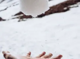 la bola negra final explicado qué significa la nieve la bola negra final explicado qué significa la nieve image