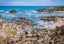 Llanes revive el abrazo del mar tras los Premios 2026 Llanes revive el abrazo del mar tras los Premios 2026 image