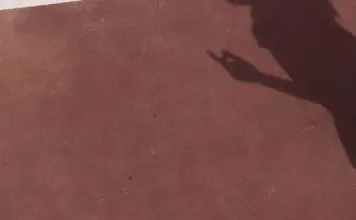 ATP y el premio del campeón del Masters de Shanghái image