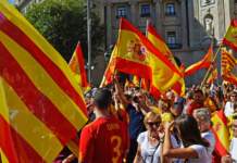 Partit dels Socialistes de Catalunya busca una mayoría sólida image
