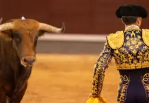 Tomas Rufo firma una tarde clave junto a Morante image