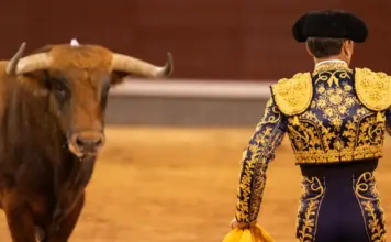 Tomas Rufo firma una tarde clave junto a Morante image
