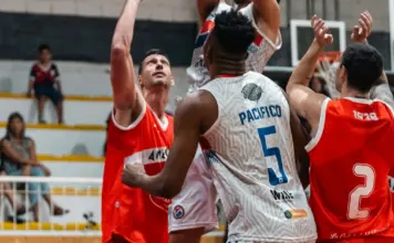baloncesto tv analiza a los últimos invictos image