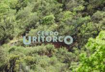 Cerro Muriano: muere un militar atropellado en la base image