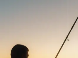 Caimán mata a un pescador de 71 años en Florida image