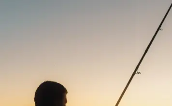 Caimán mata a un pescador de 71 años en Florida image