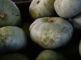 Calabaza valenciana de Mercadona para tus recetas de otoño Calabaza valenciana de Mercadona para tus recetas de otoño image