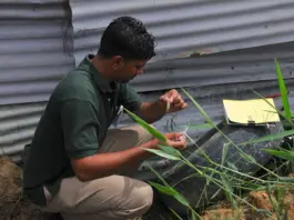 Américas acuerdan nueva estrategia contra dengue y arbovirus