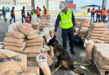 Dos alijos de cocaína ocultos en contenedores rumbo a Europa