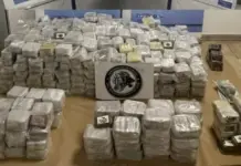 El mayor golpe al hachís en Cataluña incautan más de 8.000 kilos