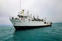 El Niño: cómo la tecnología anticipa cambios en biomasa