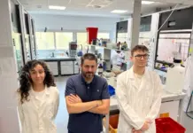 La UMU diseña una tecnología química para crear mejores fármacos