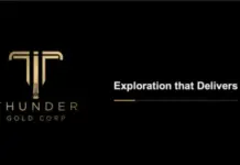 Thunder Gold descubre 298,5 metros de oro en Tower Mountain