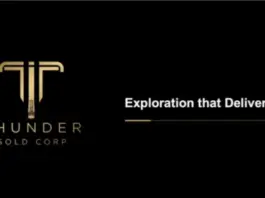 Thunder Gold descubre 298,5 metros de oro en Tower Mountain