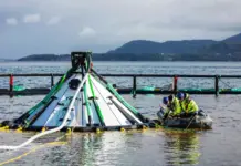 Yanmar apuesta por Europa para liderar la acuicultura