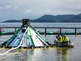 Yanmar apuesta por Europa para liderar la acuicultura