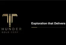 Thunder Gold descubre 298,5 metros de oro en Tower Mountain