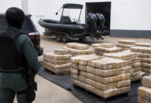Golpe al narco en Estepona: cae una red con una tonelada