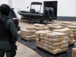 Golpe al narco en Estepona: cae una red con una tonelada