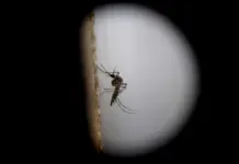 El Niño dispara alerta por dengue, zika y males respiratorios