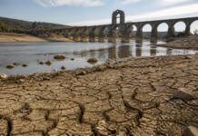 Ávila activa la prealerta por sequía ante la caída del agua