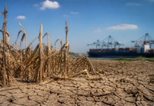 La crisis agrícola de EE. UU. amenaza sus mercados de exportación