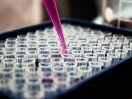 La tecnología que vigila las microalgas marinas en tiempo real