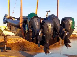 Golpe al narco: incautan 3.000 kilos de cocaína en el sur