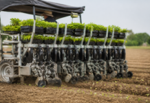 Futura GO Twin: la plantadora que alcanza 11.000 plantas/h