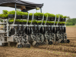 Futura GO Twin: la plantadora que alcanza 11.000 plantas/h