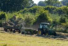 Marcos Esteve: del campo a crear su propia herramienta de IA