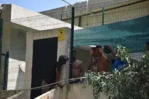 Aíslan en el CETI a compañeras por posible difteria