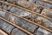 Tectonic Metals amplía el potencial de oro en Alaska