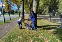 Burgos analiza con tecnología sus árboles tras las últimas caídas