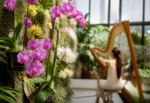 El Orquidario de Estepona convierte orquídeas en música