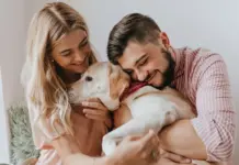 Perros y humanos: las enfermedades del corazón que comparten