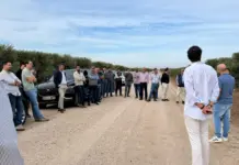 La precisión revoluciona los tratamientos foliares en leñosos
