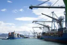 PortCastelló dispara su tráfico y lidera el crecimiento nacional