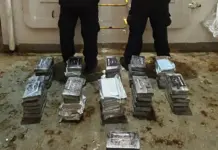 Cocaína oculta en la refrigeración de un contenedor a Barcelona
