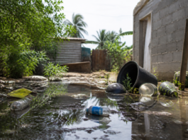 Alerta en RD por aguas acumuladas ante dengue y leptospirosis