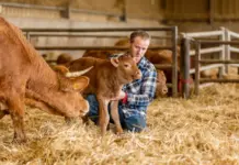 Una Salud: el 75% de infecciones emergentes nace en animales