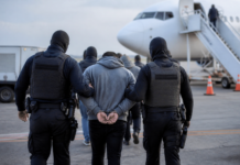 Así cayó la mafia que llevaba dominicanos de Bogotá a Madrid